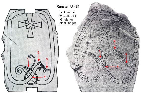 Detaljstudie av Rhezelius teckning av runsten U 481